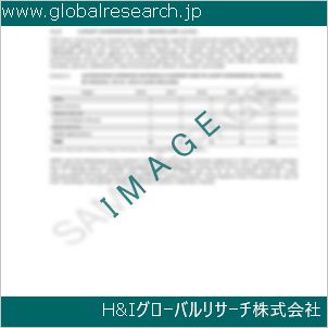 グローバルリサーチ調査資料のイメージ